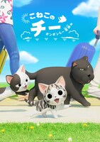 「こねこのチー ポンポンらー夏休み」ティザービジュアル