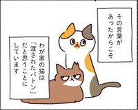オキエイコ「どうも、元保護猫です」より。