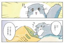 今日マチ子「くいしん坊！ ネルネさん」より。