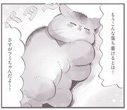 谷口菜津子「猫の引っ越し」より。
