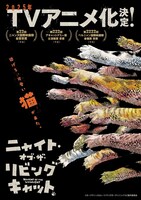 TVアニメ「ニャイト・オブ・ザ・リビングキャット」ティザービジュアル