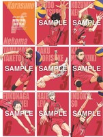 各校メンバーのプロフィールをまとめた選手名鑑。