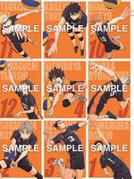 各校メンバーのプロフィールをまとめた選手名鑑。