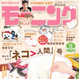 猫の日発売のモーニングで「猫漫画フェス」 深谷かほる、江口夏実、こなみかなたら