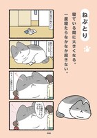 「ねこようかい きゅんっ」より。