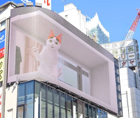 ぶちおの3D映像のイメージ。