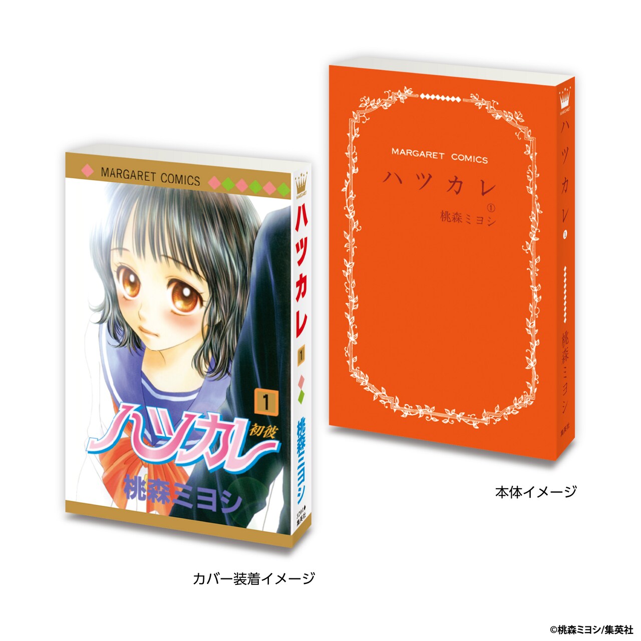 ご参考用★ご購入前にご連絡要★「ハツカレ　全１０巻」桃森ミヨシ ご参考用ご購入前にご連絡要「ハツカレ 全10巻」桃森
