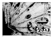 「星喰い殺しのイグナロ」より。