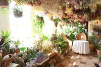 「オキノ邸」の薬を作る魔女の店。