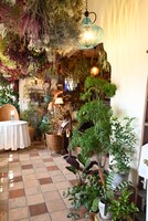 「オキノ邸」の薬を作る魔女の店。