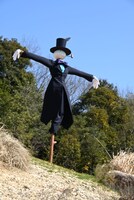 「ハウルの動く城」に出てくるカカシのカブ。