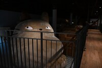 「ジブリの大倉庫」の公開倉庫。