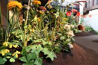 「ジブリの大倉庫」の「床下の家と小人の庭」。