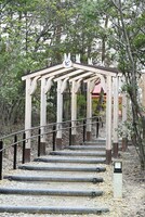 「どんどこ森」の入り口。