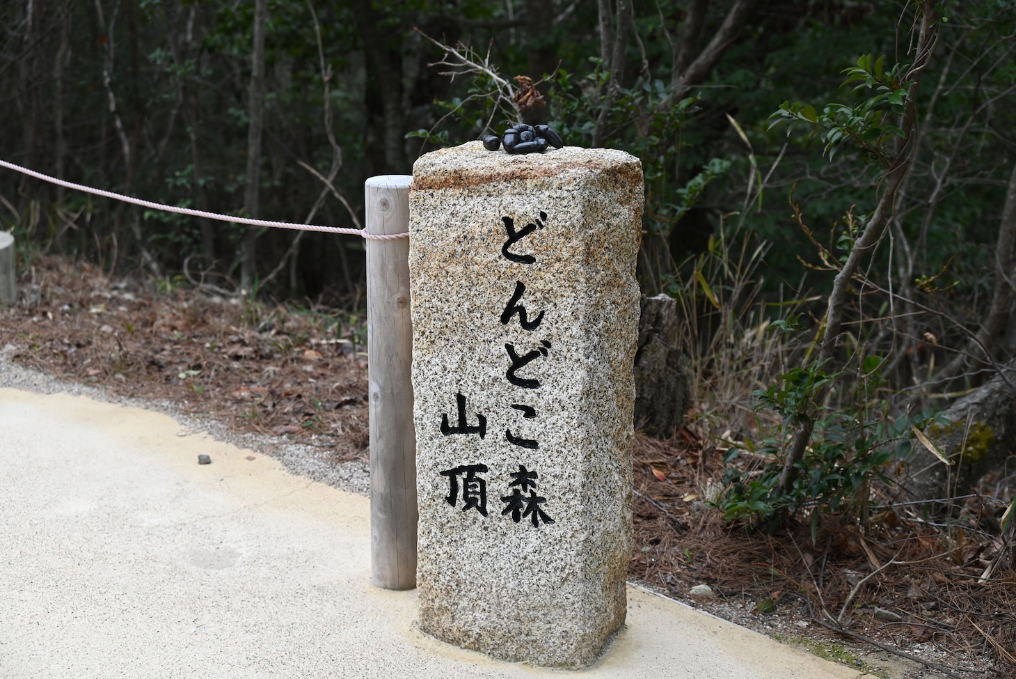 「どんどこ森」