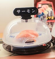 回転レーン上に登場するハチワレ。