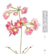 いくえみ綾も推薦、初恋を静謐なタッチで描く「夏の終点」上巻発売