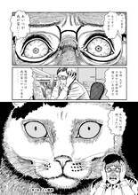 「伊藤潤二の猫日記 よん＆むー」2009年 (c)伊藤潤二／講談社