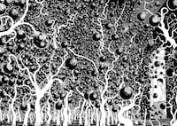 「血玉樹」1993年 (c)ジェイアイ／朝日新聞出版