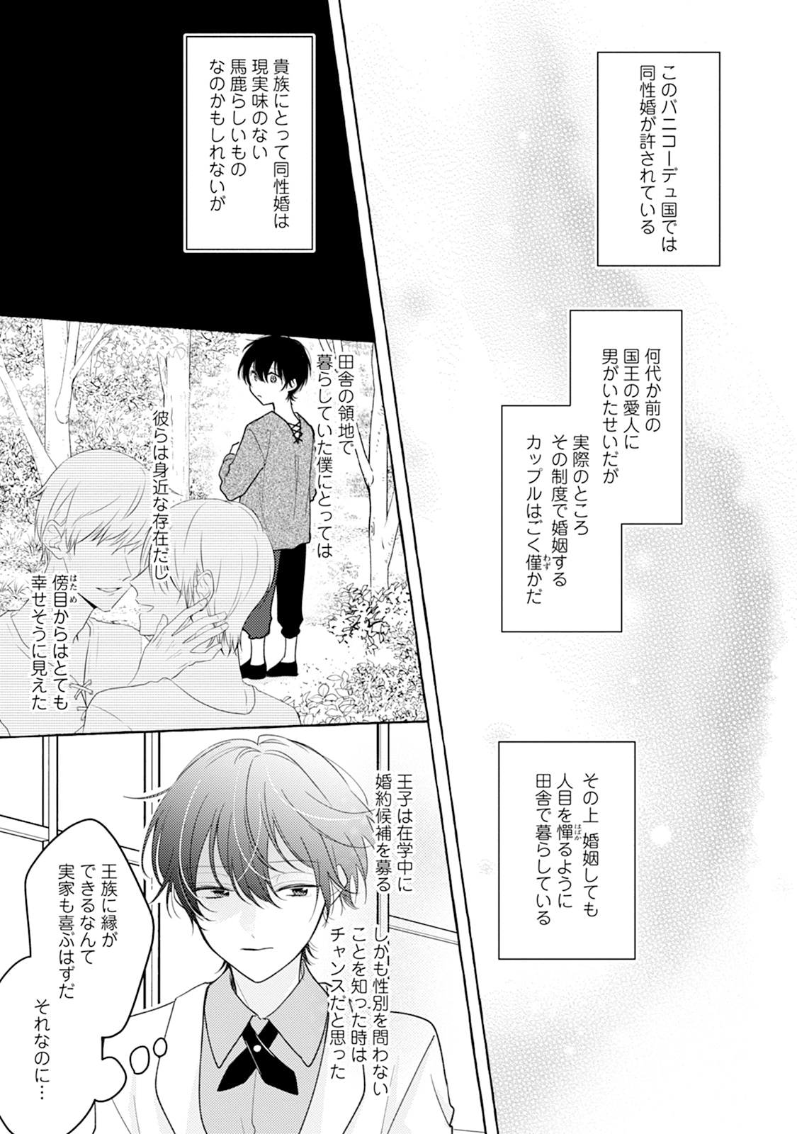 「その悪役令息は、なんとしても王子と婚約したかっただけなのです。ただそれだけだったのです。」より。