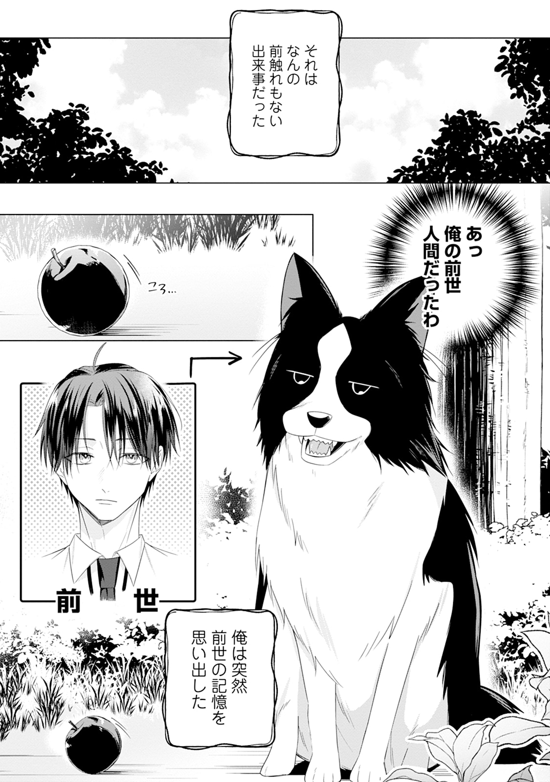 「犬に転生したけど今日も元気です」より。