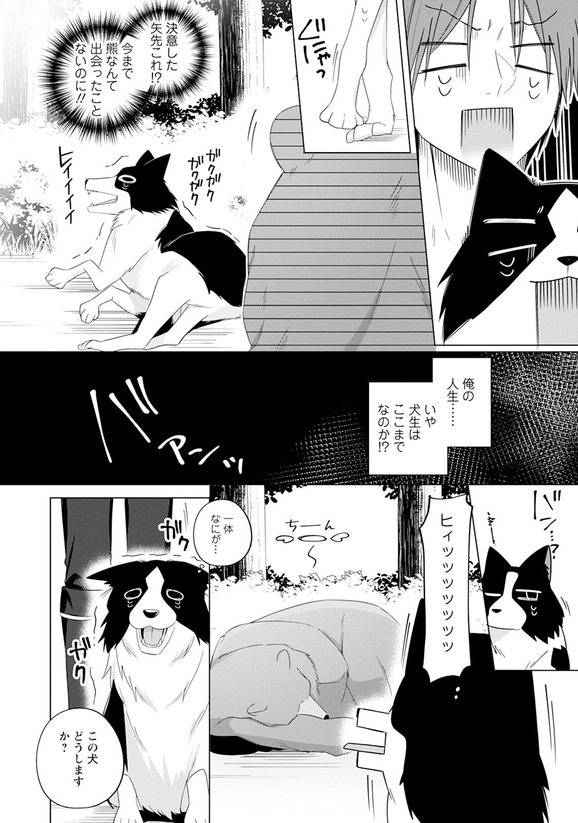 「犬に転生したけど今日も元気です」より。