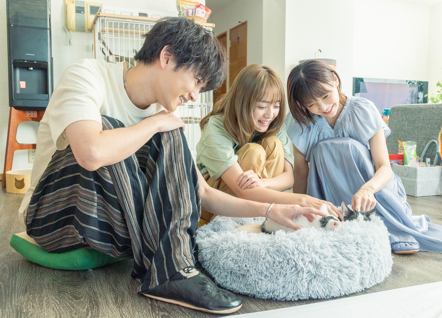映画「三日月とネコ」場面写真 (c)2024 映画「三日月とネコ」製作委員会 (c)ウオズミアミ/集英社