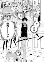 「転生しても柴犬を愛でたい！」より。