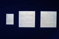 左が咲坂伊緒のメッセージ。 (c)咲坂伊緒／集英社