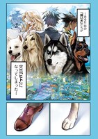 「ポン太がヒトになりまして。」より。