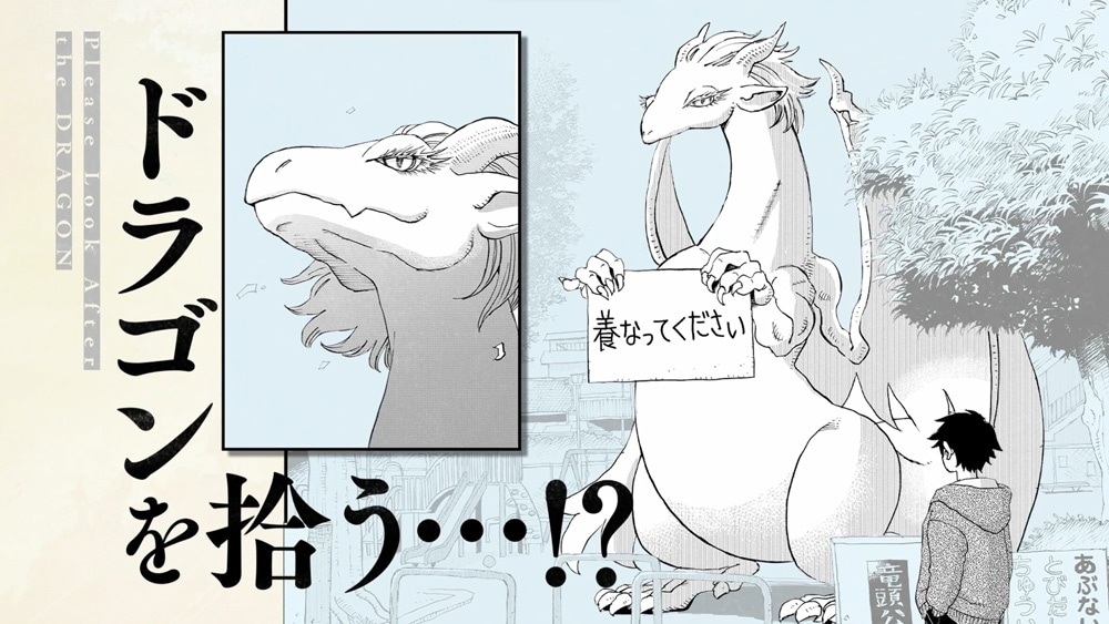 「ドラゴン養ってください」テレビCMより。