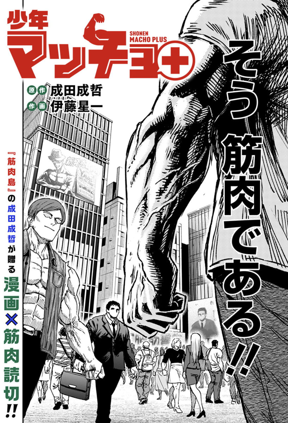 「少年マッチョ＋」扉ページ (c)成田成哲・伊藤星一/集英社