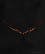 「NOWHEREBOY Embroidery Hoodie from EVANGELION（初号機覚醒）」