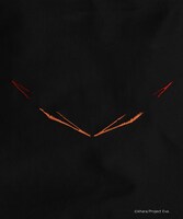 「NOWHEREBOY Embroidery Hoodie from EVANGELION（初号機覚醒）」