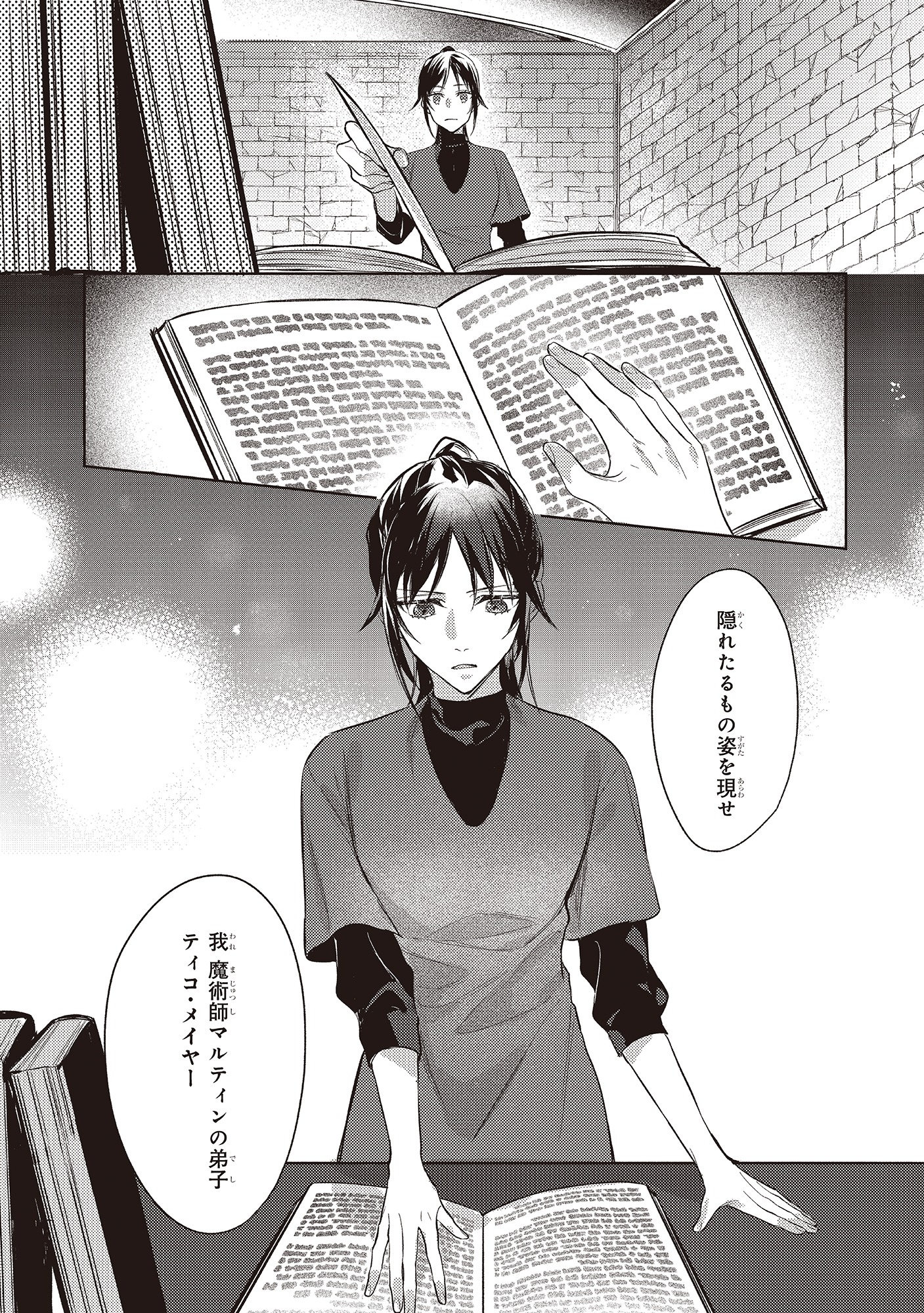 「黒塔の眠れる魔術師 囚われの娘と知られざる禁術」より。