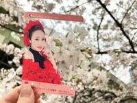 「SNS風クリアカード」の使用イメージ。