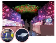 「追憶の花園」のイメージ。