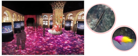 「王妃のロイヤルバンケット」のイメージ。