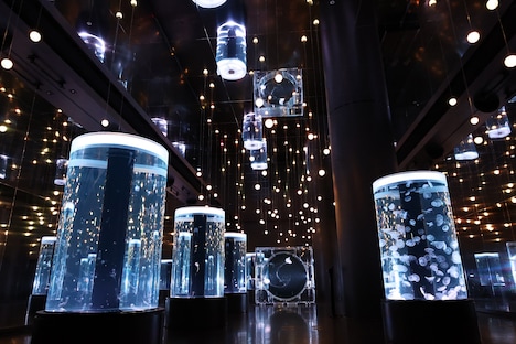 。「白薔薇のワルツ」のイメージ。