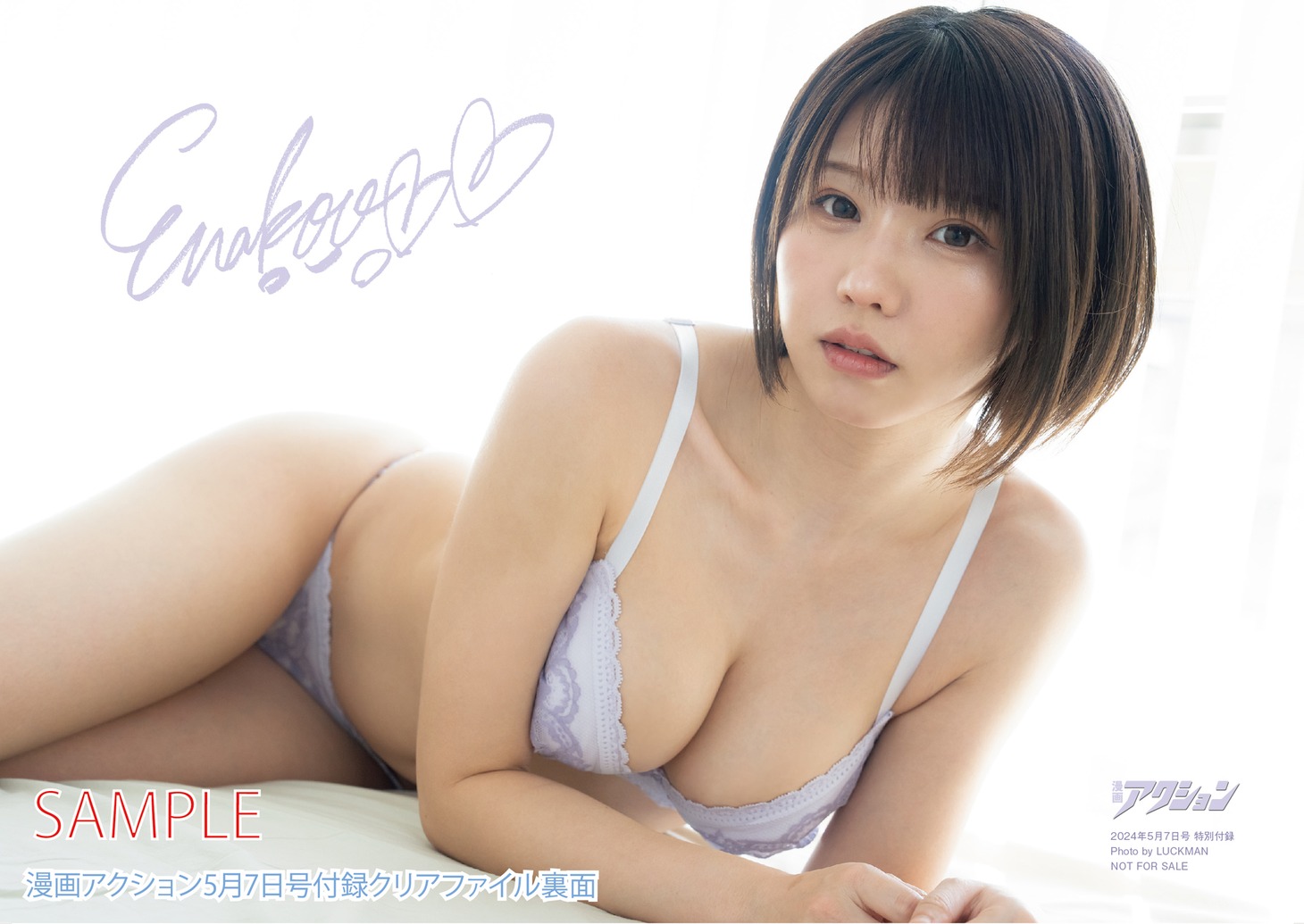 漫画アクション9号付録のクリアファイル（裏）。