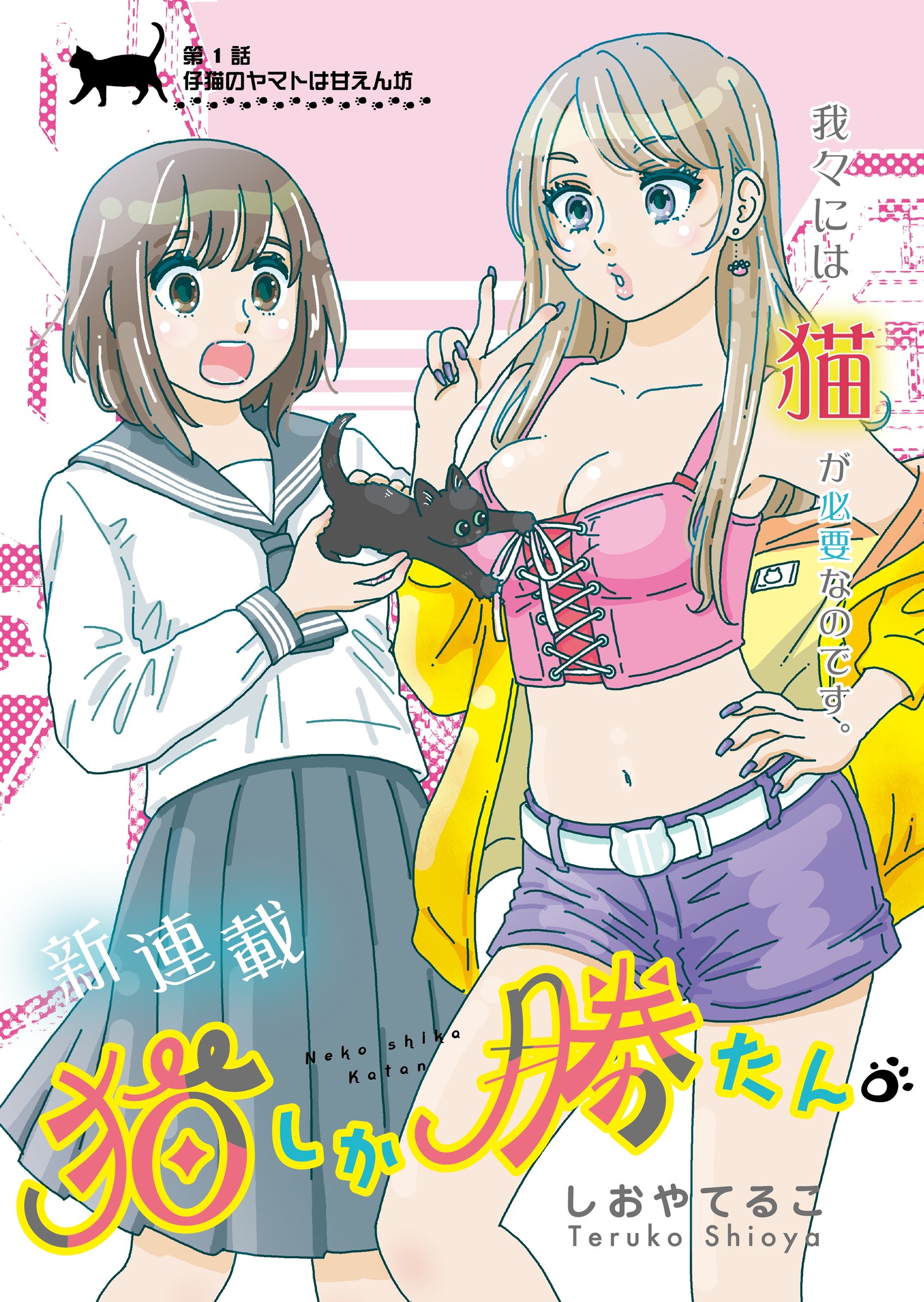 「猫しか勝たん。」より。