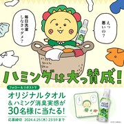 プレゼントキャンペーンの告知画像。