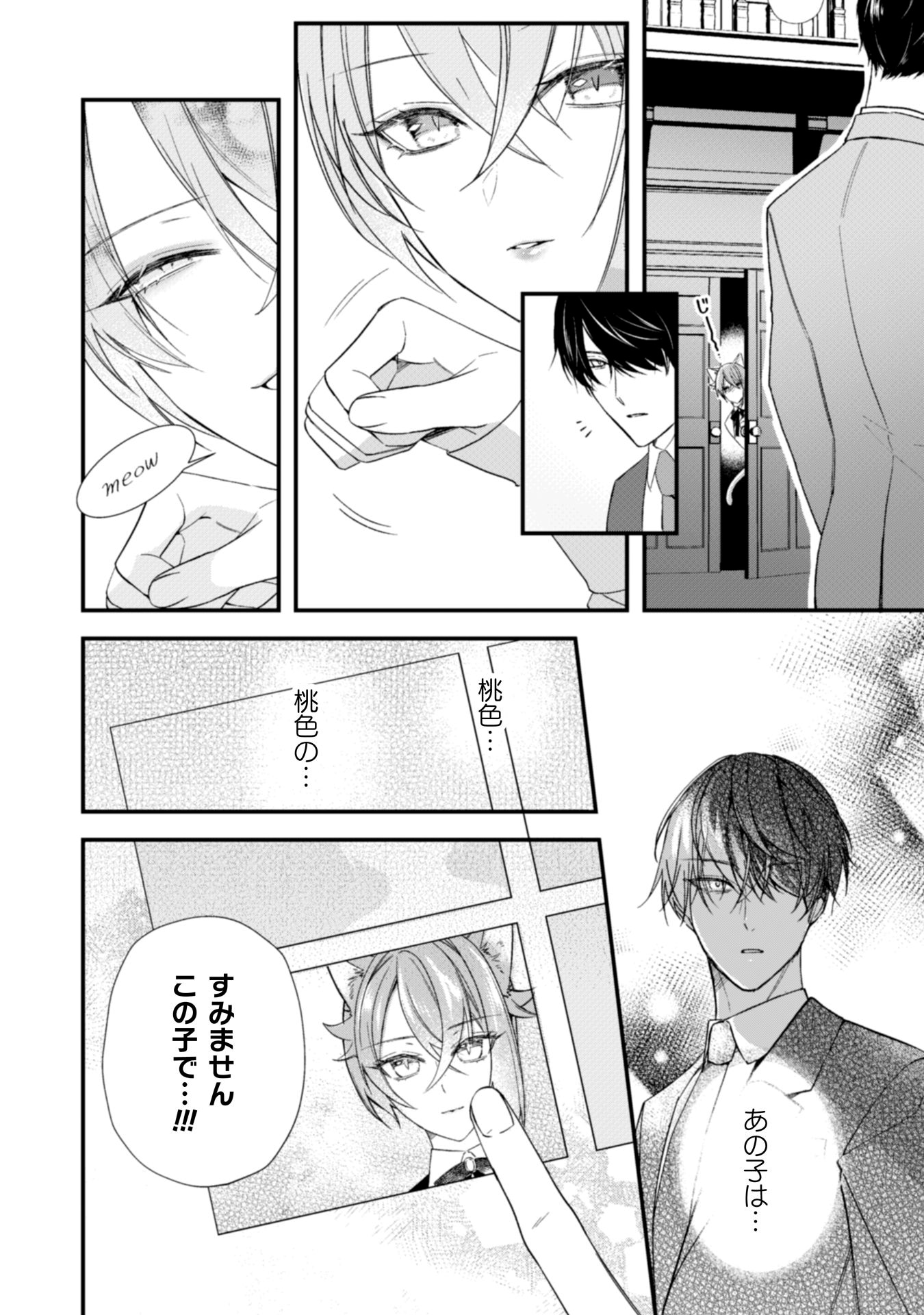 「Seraphim meow」より。