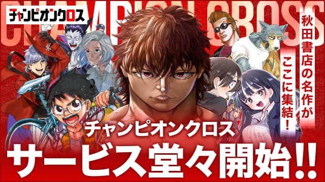 チャンピオンクロスのイメージ。