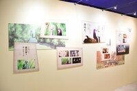 「アニメ 葬送のフリーレン展 ～冒険の終わりから始まる物語～」の「第1章 新たな冒険の始まり」エリア。