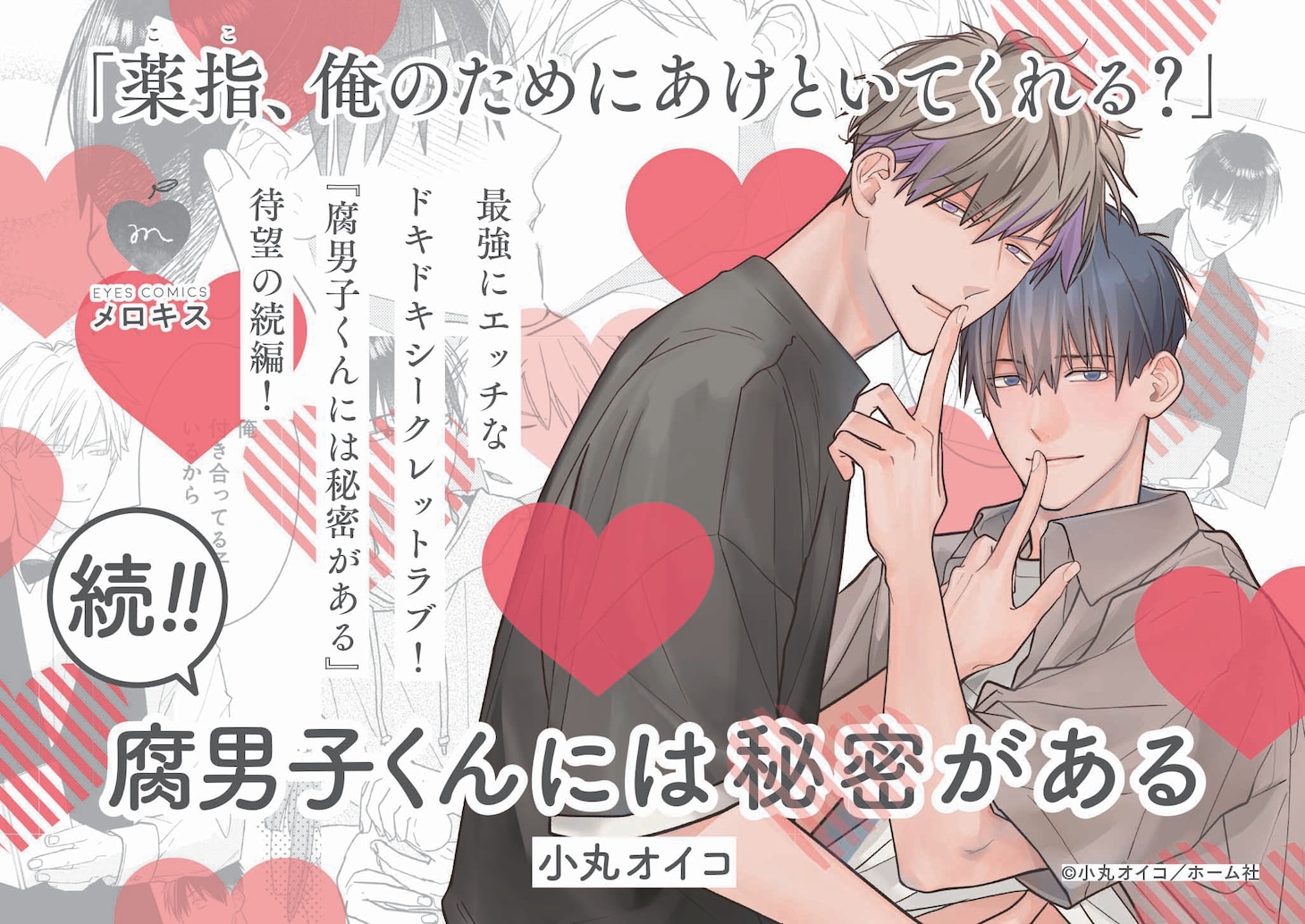 「続!! 腐男子くんには秘密がある」POP