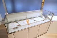 「キン肉マンミュージアム in 沼津」より。