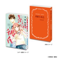 「素敵な彼氏」の豆ガシャ本。