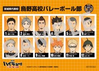 「劇場版ハイキュー!! ゴミ捨て場の決戦」の第6弾入場者プレゼントに用意された烏野高校バレーボール部の「選手名鑑風ブロマイド」。