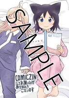 「てるみな」5巻のCOMIC ZIN特典。
